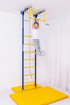 Домашний спортивный комплекс «Шведская стенка ROMANA R2» в Москве ВИНКО