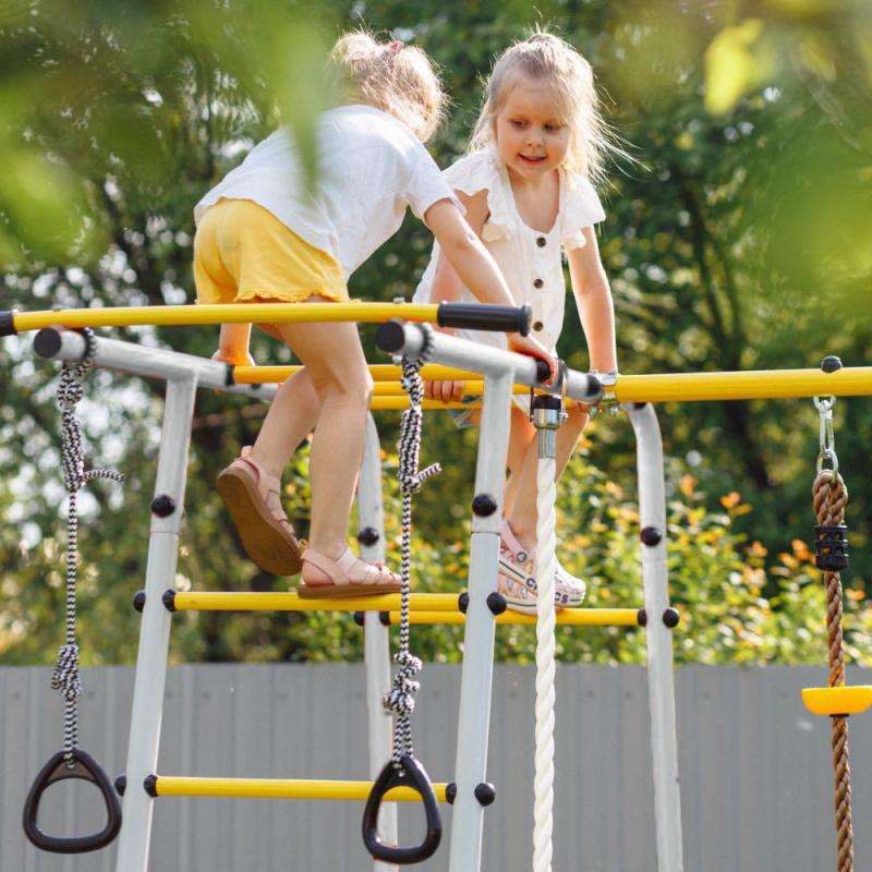 Romana Лесная поляна-3-PRO Детский спортивный комплекс для дачи (Комплект №2) в Москве ВИНКО