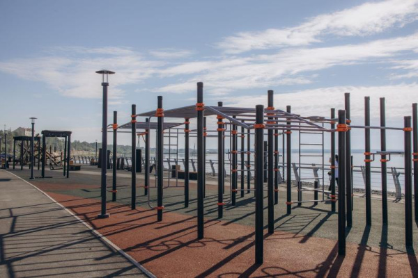 Спортивное оборудование Романа 501.74.01 в Москве ВИНКО