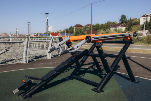 Тренажер Жим наклонный Romana 211.09.00