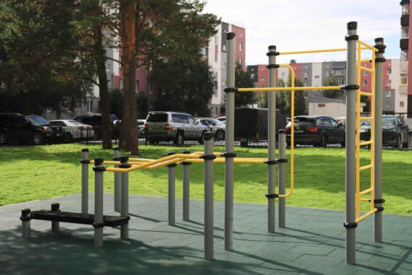 Спортивное оборудование Романа 501.53.01 в Москве ВИНКО