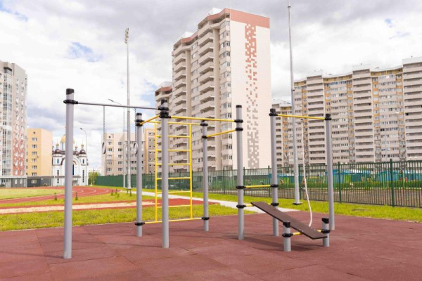 Спортивное оборудование Романа 501.39.01 в Москве ВИНКО