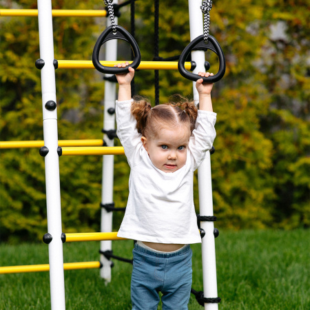 Детский спортивный комплекс для дачи ROMANA Богатырь Плюс 2 в Москве ВИНКО