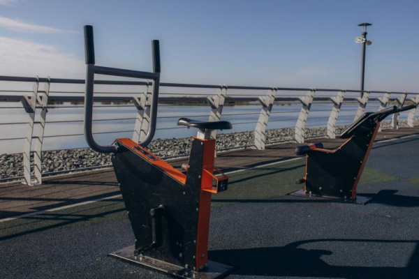 Велотренажер Романа 207.43.10