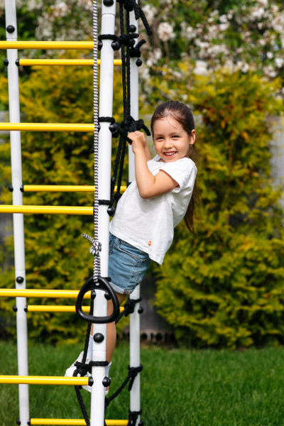 Детский спортивный комплекс для дачи ROMANA Богатырь Плюс 2 в Москве ВИНКО