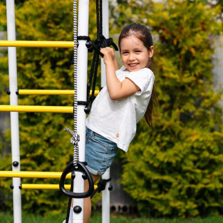 Детский спортивный комплекс для дачи ROMANA Богатырь Плюс 2 MAX в Москве ВИНКО