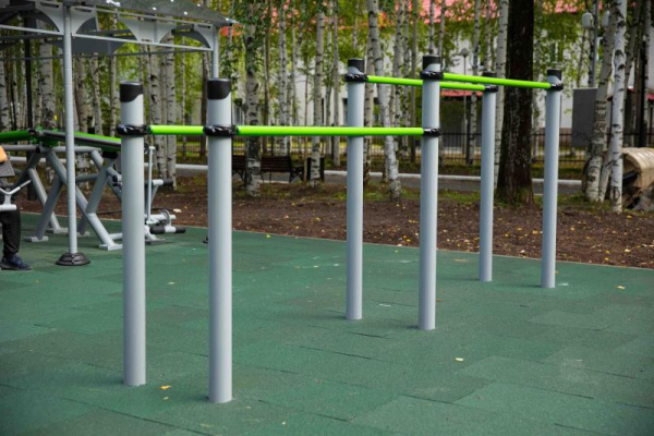 Спортивное оборудование Романа 501.18.01 в Москве ВИНКО