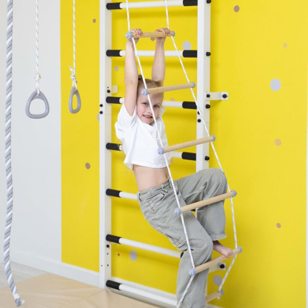 Спортивный комплекс усиленный + ROMANA