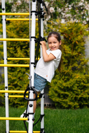 Детский спортивный комплекс для дачи ROMANA Богатырь MAX в Москве ВИНКО